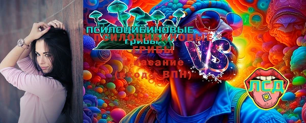 тгк Россошь
